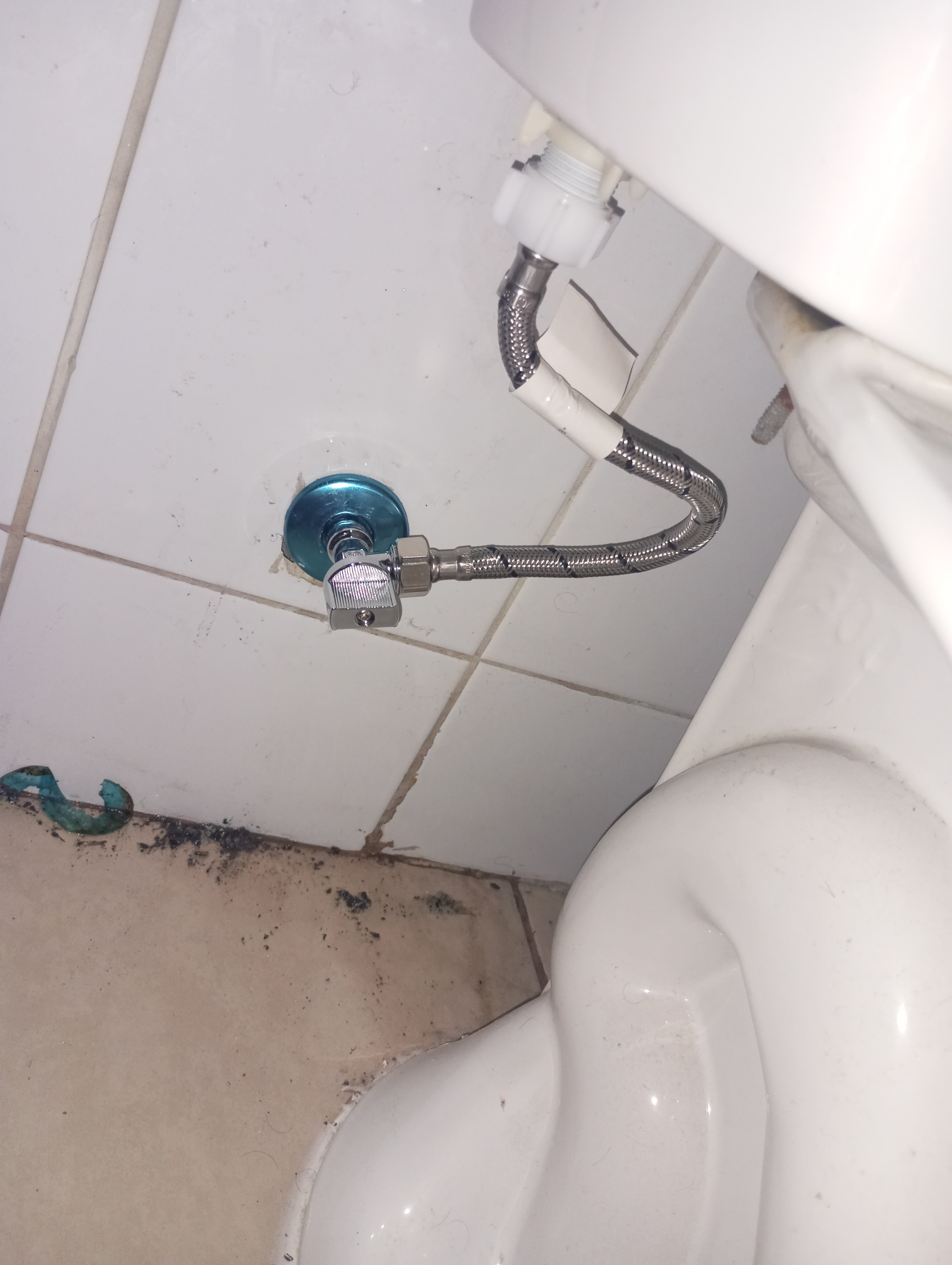 Trabajo realizado 2